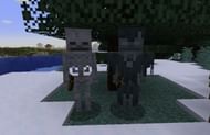 Image via Minecraft Wiki